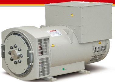 Αγορά Αβούρτσιστο Exciter 3 σύγχρονη γεννήτρια φάσης online manufacture